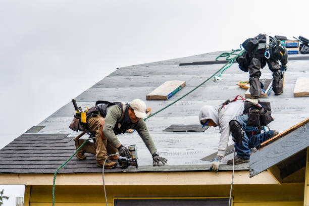 Professional Storm Damage Roof Repair technician working in Denver, IN